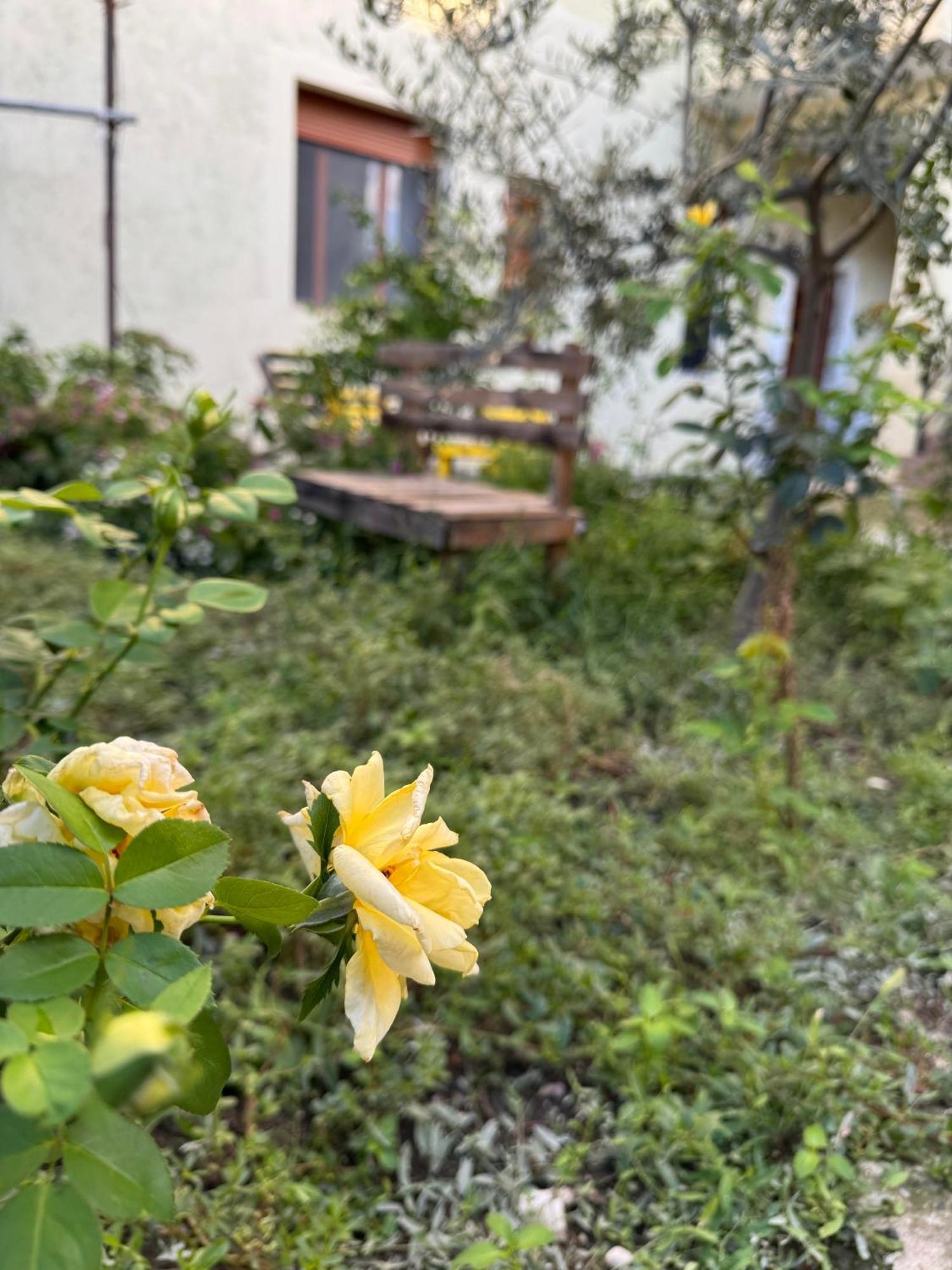 Ardjon House Hostel Berat Exterior photo
